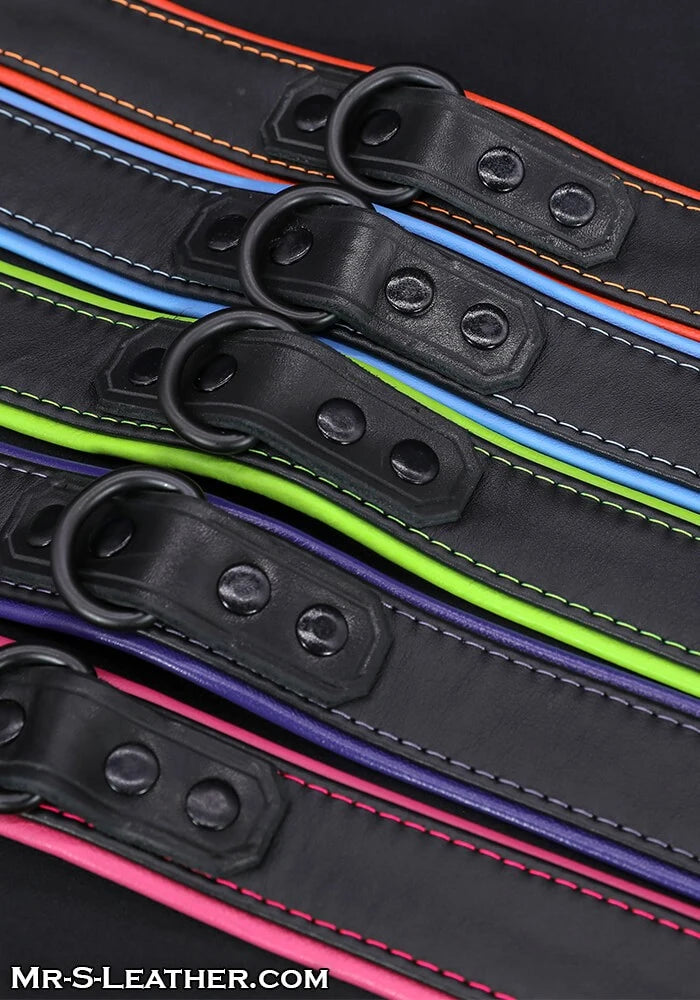 Hardline Collar - 11 Colors