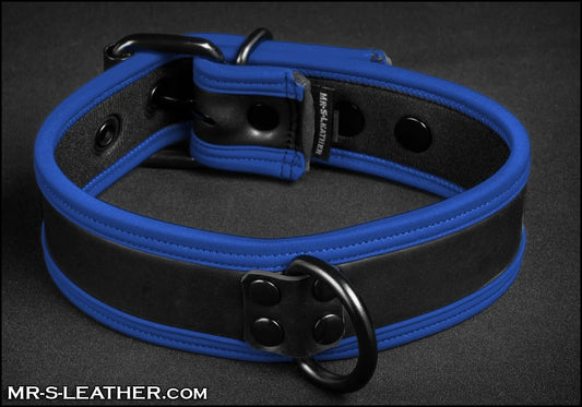 Neo Puppy Collar - 4 Colors